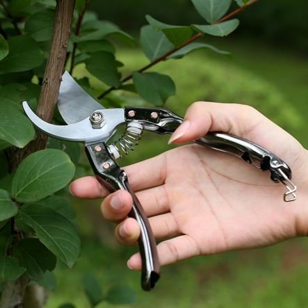 Ψαλίδι κλαδέματος για αμπελουργούς - Κηπουρούς - Αγρότες