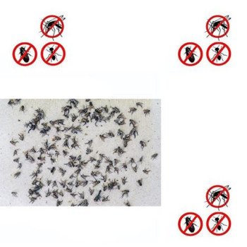 Οικολογικές ανταλλακτικές κολλητικές ταινίες μακράς διάρκειας για την ηλεκτρική εντομοπαγίδα - Εντομοκτόνο Telco με ΚΩΔ. 006309