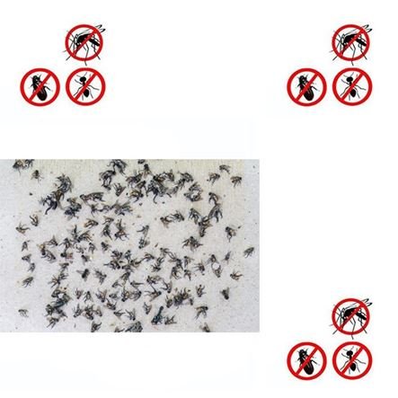 Οικολογικές ανταλλακτικές κολλητικές ταινίες μακράς διάρκειας για την ηλεκτρική εντομοπαγίδα - Εντομοκτόνο Telco με ΚΩΔ. 006309