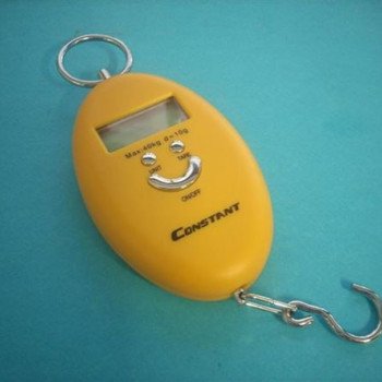 Ψηφιακή φορητή ζυγαριά έως 50 kgr.