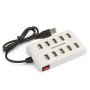 USB πολύπριζο hub 10 θέσεων