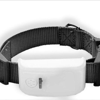Gps για Σκύλους και ζώα - Κολάρο εντοπισμόύ σκύλων μέσω δορυφόρου