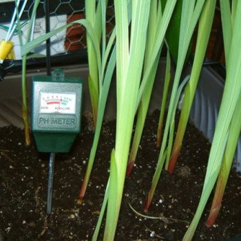 Πεχάμετρο εδάφους χωρίς μπαταρίες