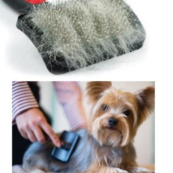 Πλαστική βούρτσα για κατοικίδια