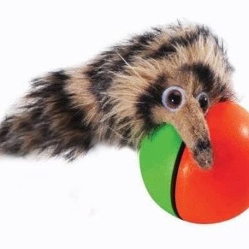 Παιχνιδιάρικο σκιουράκι που ξέρει και κολύμπι διασκεδαστικό παιχνίδι για μικρούς - μεγάλους και κατοικίδια (Δείτε βίντεο)