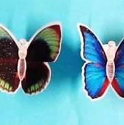 ΠΕΤΑΛΟΥΔΕΣ ΔΙΑΚΟΣΜΗΤΙΚΕΣ ΑΥΤΟΚΟΛΛΗΤΕΣ  ΦΩΤΙΖΟΜΕΝΕΣ ΜΕ ΕΝΑΛΛΑΣΟΜΕΝΑ ΧΡΩΜΑΤΑ