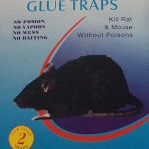 Παγίδα κόλλας για ποντίκια οικολογική σετ 2 τεμαχίων διαστάσεων 17 Χ 13 cm