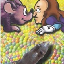 ΠΟΝΤΙΚΑΚΙ ΦΑΡΣΑ